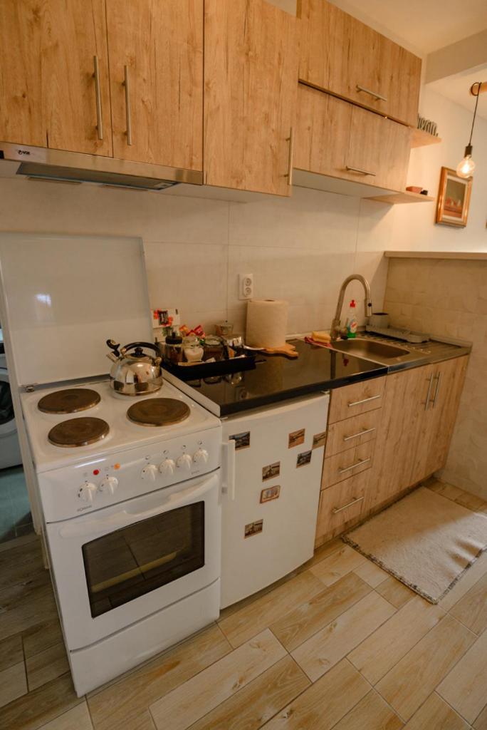 Apartman Sen'S Λέσκοβατς Εξωτερικό φωτογραφία